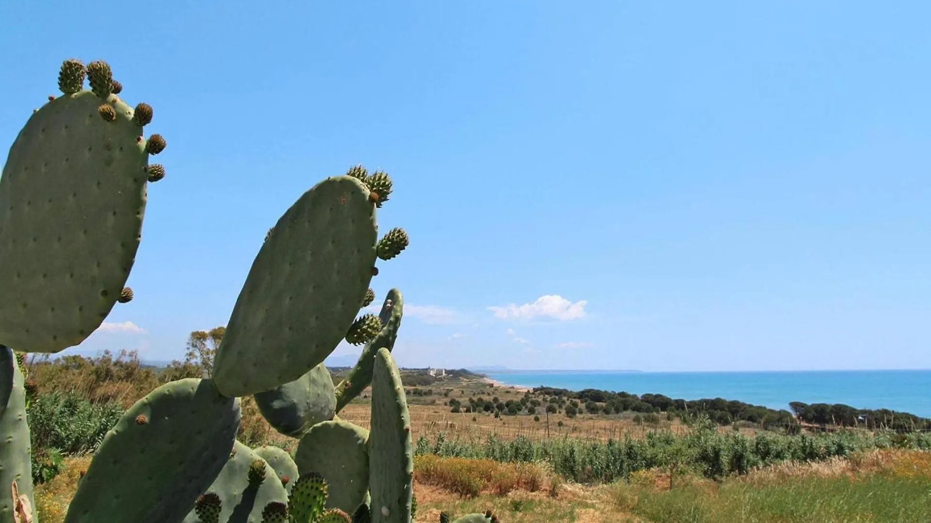 Apartment In Marinella Di Selinunte Castelvetrano 150 M From The Sea