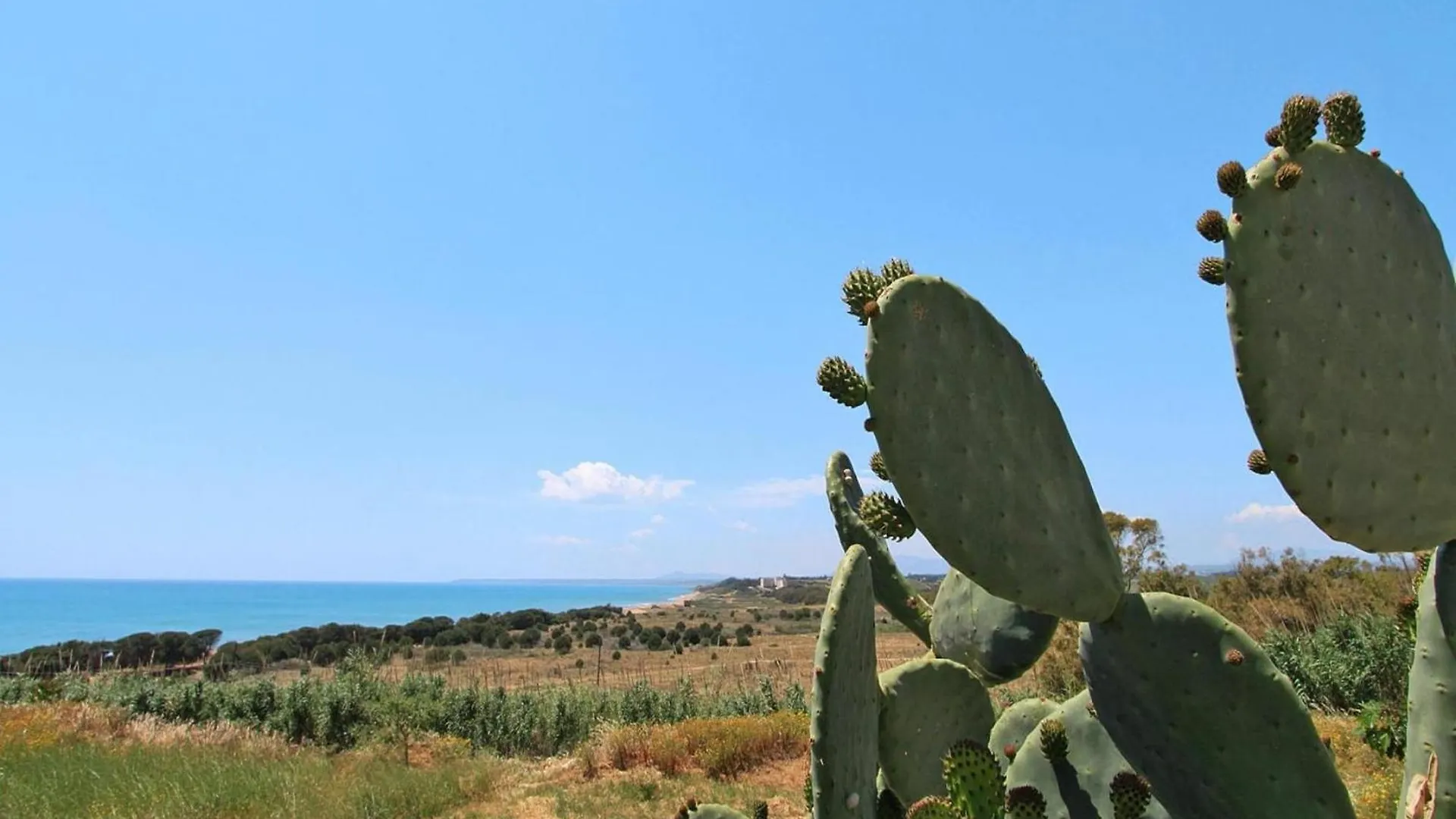 Apartment In Marinella Di Selinunte Castelvetrano 150 M From The Sea 0*,